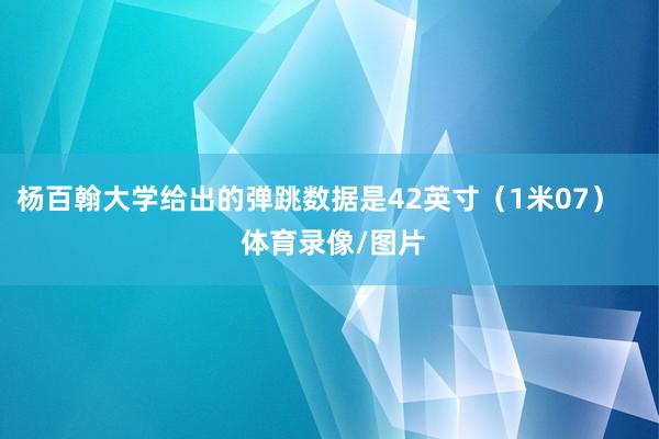 杨百翰大学给出的弹跳数据是42英寸(1米07) 体育录像/图片