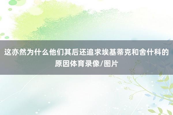 这亦然为什么他们其后还追求埃基蒂克和舍什科的原因体育录像/图片