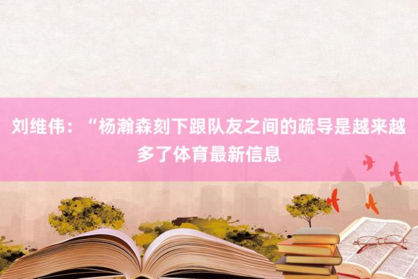 刘维伟：“杨瀚森刻下跟队友之间的疏导是越来越多了体育最新信息