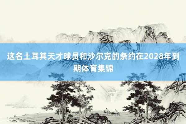 这名土耳其天才球员和沙尔克的条约在2028年到期体育集锦