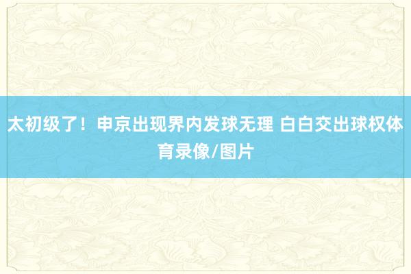 太初级了！申京出现界内发球无理 白白交出球权体育录像/图片