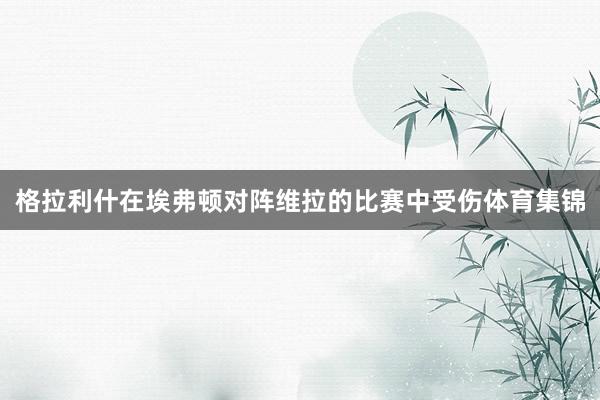 格拉利什在埃弗顿对阵维拉的比赛中受伤体育集锦