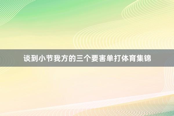 谈到小节我方的三个要害单打体育集锦