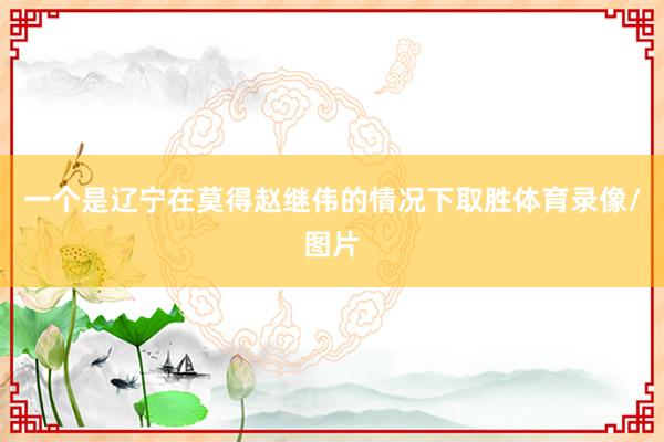 一个是辽宁在莫得赵继伟的情况下取胜体育录像/图片