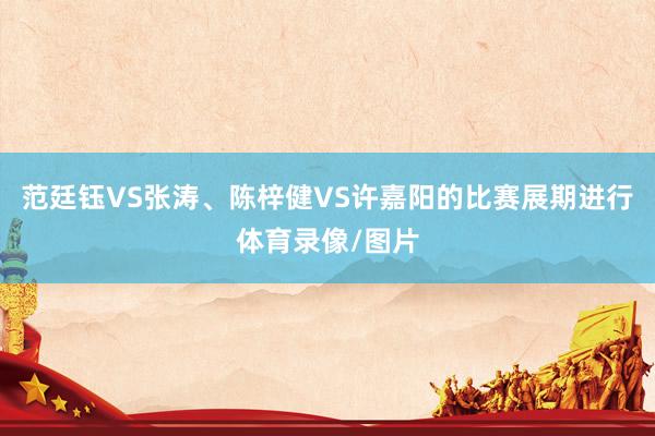 范廷钰VS张涛、陈梓健VS许嘉阳的比赛展期进行体育录像/图片