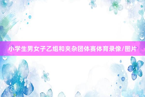 小学生男女子乙组和夹杂团体赛体育录像/图片