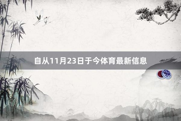 自从11月23日于今体育最新信息