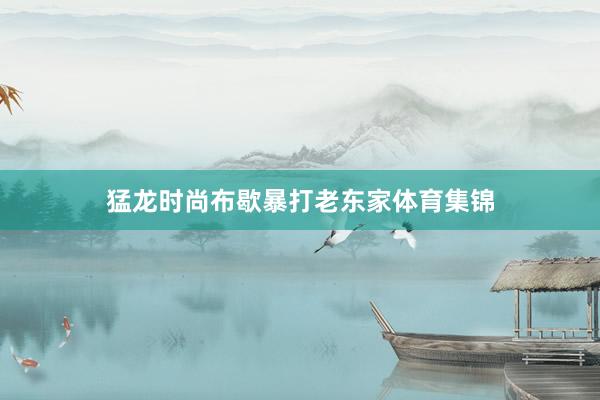 猛龙时尚布歇暴打老东家体育集锦