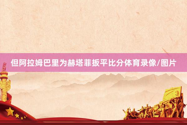 但阿拉姆巴里为赫塔菲扳平比分体育录像/图片