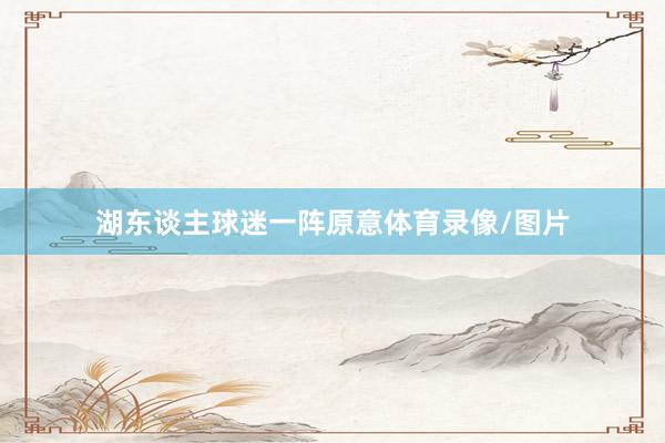 湖东谈主球迷一阵原意体育录像/图片