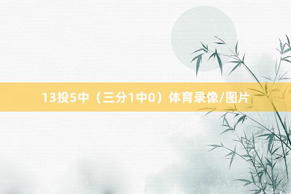 13投5中（三分1中0）体育录像/图片