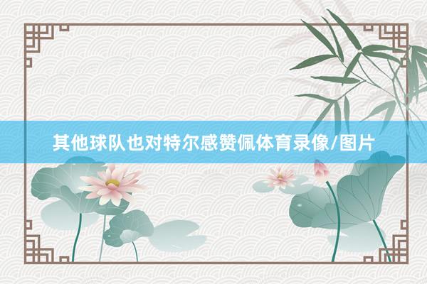 其他球队也对特尔感赞佩体育录像/图片