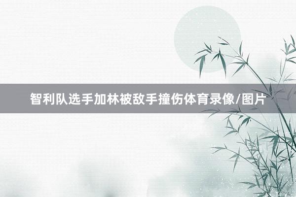 智利队选手加林被敌手撞伤体育录像/图片