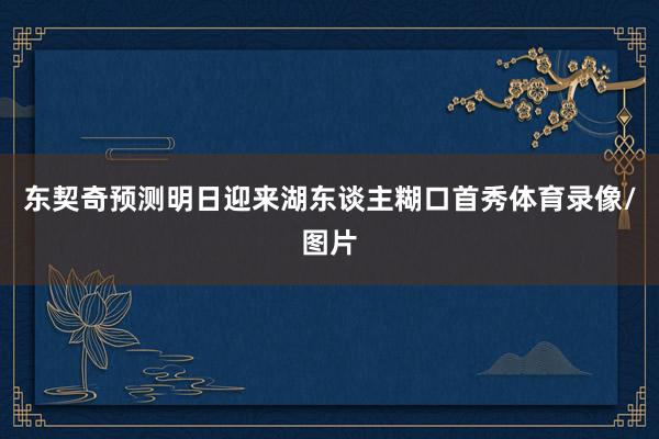 东契奇预测明日迎来湖东谈主糊口首秀体育录像/图片