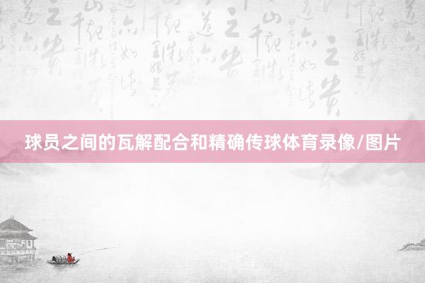 球员之间的瓦解配合和精确传球体育录像/图片