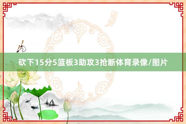 砍下15分5篮板3助攻3抢断体育录像/图片