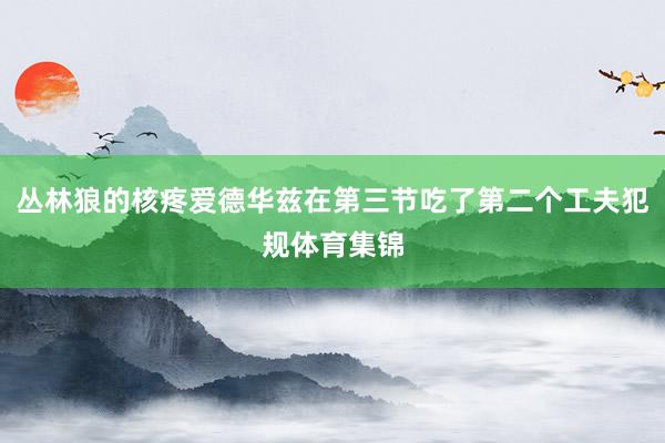 丛林狼的核疼爱德华兹在第三节吃了第二个工夫犯规体育集锦