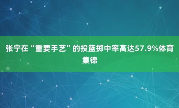 张宁在“重要手艺”的投篮掷中率高达57.9%体育集锦