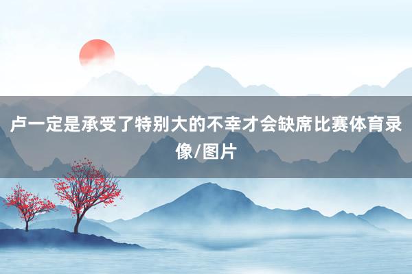 卢一定是承受了特别大的不幸才会缺席比赛体育录像/图片