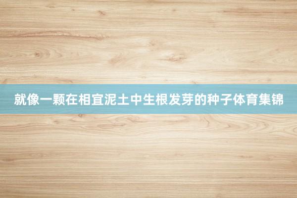 就像一颗在相宜泥土中生根发芽的种子体育集锦