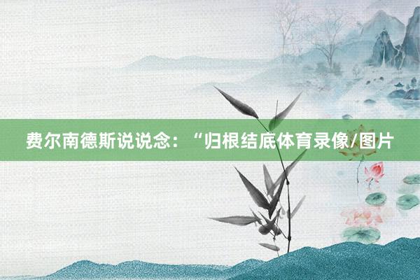 费尔南德斯说说念：“归根结底体育录像/图片