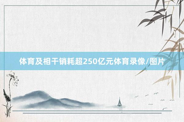 体育及相干销耗超250亿元体育录像/图片