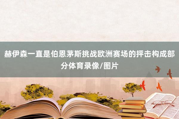 赫伊森一直是伯恩茅斯挑战欧洲赛场的抨击构成部分体育录像/图片