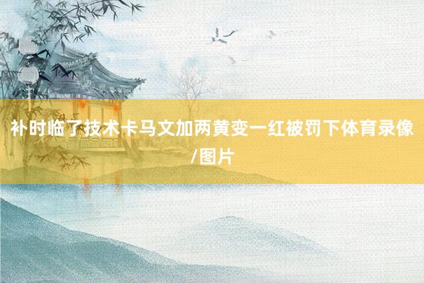 补时临了技术卡马文加两黄变一红被罚下体育录像/图片