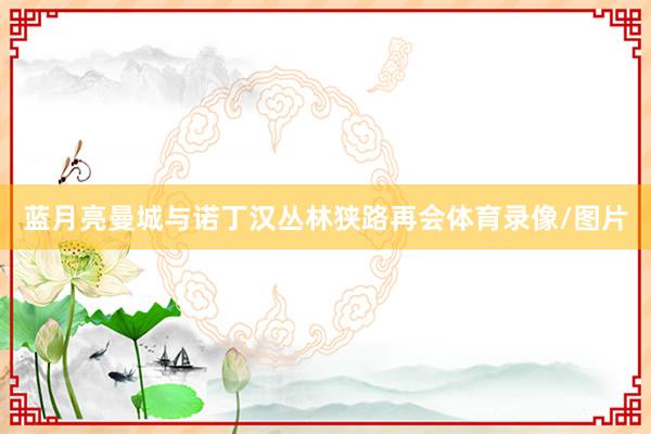 蓝月亮曼城与诺丁汉丛林狭路再会体育录像/图片