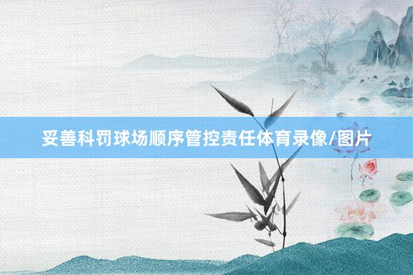 妥善科罚球场顺序管控责任体育录像/图片