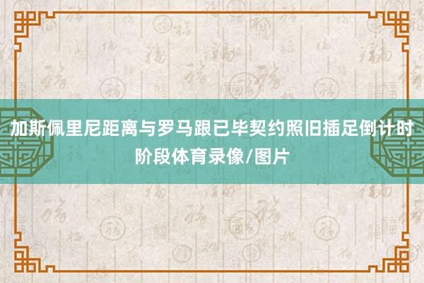 加斯佩里尼距离与罗马跟已毕契约照旧插足倒计时阶段体育录像/图片