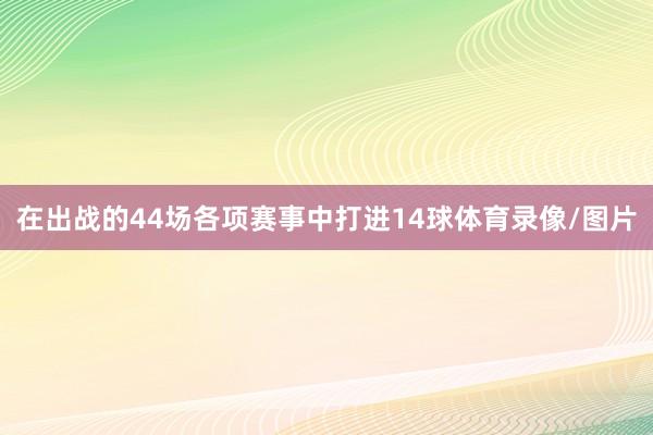 在出战的44场各项赛事中打进14球体育录像/图片