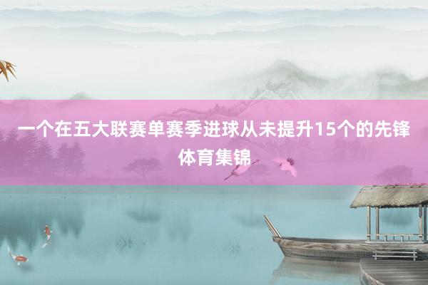 一个在五大联赛单赛季进球从未提升15个的先锋体育集锦