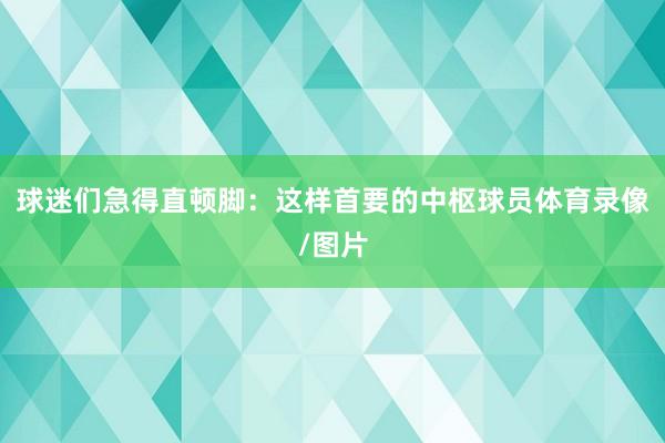球迷们急得直顿脚：这样首要的中枢球员体育录像/图片