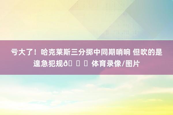 亏大了！哈克莱斯三分掷中同期哨响 但吹的是遑急犯规😑体育录像/图片
