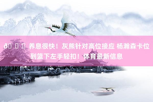👍养息很快！灰熊针对高位接应 杨瀚森卡位到篮下左手轻扣！体育最新信息