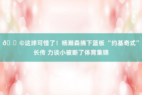 😩这球可惜了！杨瀚森摘下篮板 “约基奇式”长传 力谈小被断了体育集锦