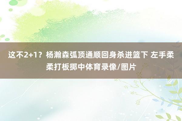这不2+1？杨瀚森弧顶通顺回身杀进篮下 左手柔柔打板掷中体育录像/图片