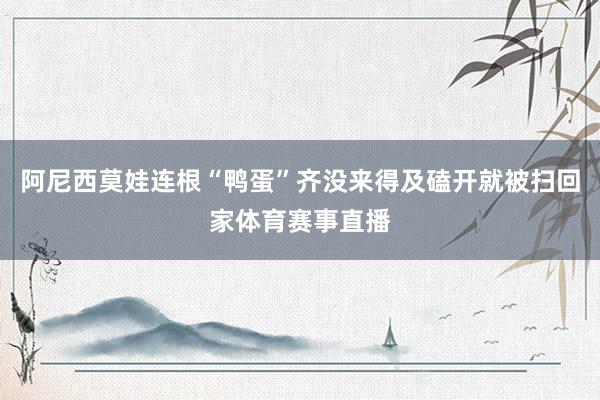 阿尼西莫娃连根“鸭蛋”齐没来得及磕开就被扫回家体育赛事直播