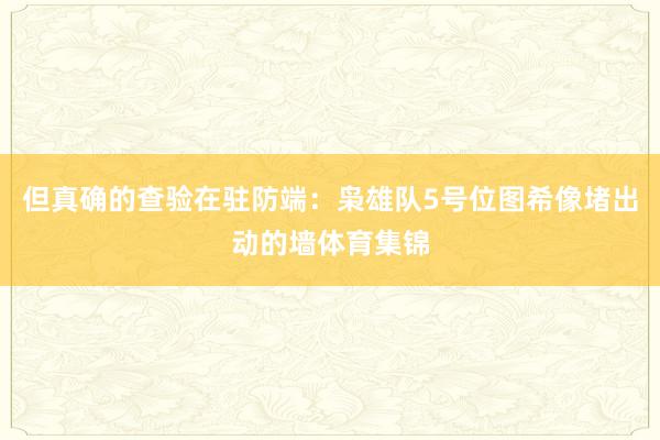 但真确的查验在驻防端：枭雄队5号位图希像堵出动的墙体育集锦