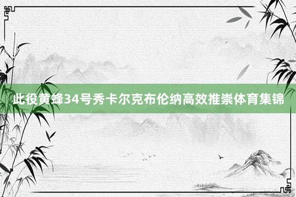 此役黄蜂34号秀卡尔克布伦纳高效推崇体育集锦