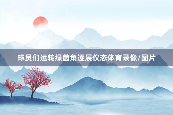 球员们运转绿茵角逐展仪态体育录像/图片