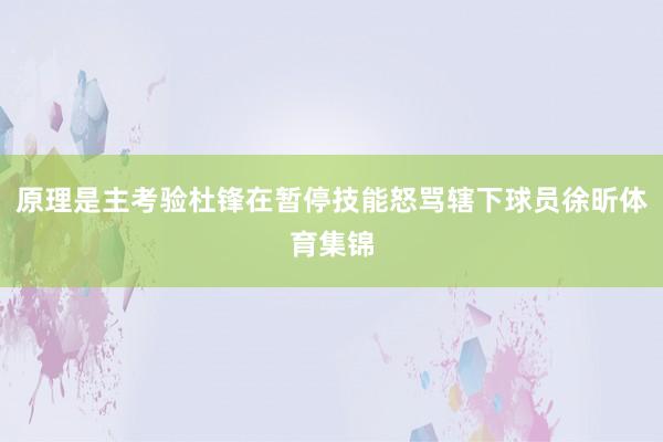原理是主考验杜锋在暂停技能怒骂辖下球员徐昕体育集锦