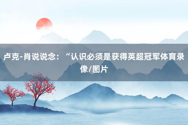 卢克-肖说说念：“认识必须是获得英超冠军体育录像/图片