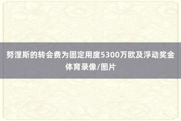 努涅斯的转会费为固定用度5300万欧及浮动奖金体育录像/图片