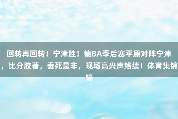 回转再回转！宁津胜！德BA季后赛平原对阵宁津，比分胶著，垂死是非，现场高兴声络续！体育集锦