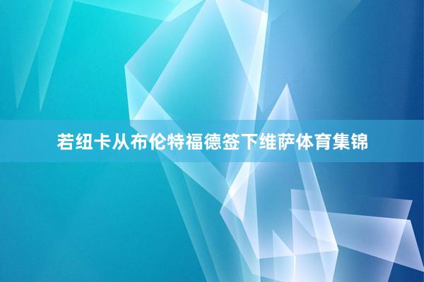 若纽卡从布伦特福德签下维萨体育集锦