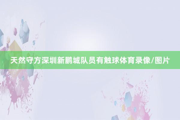 天然守方深圳新鹏城队员有触球体育录像/图片
