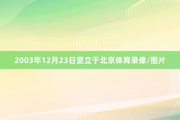 2003年12月23日竖立于北京体育录像/图片