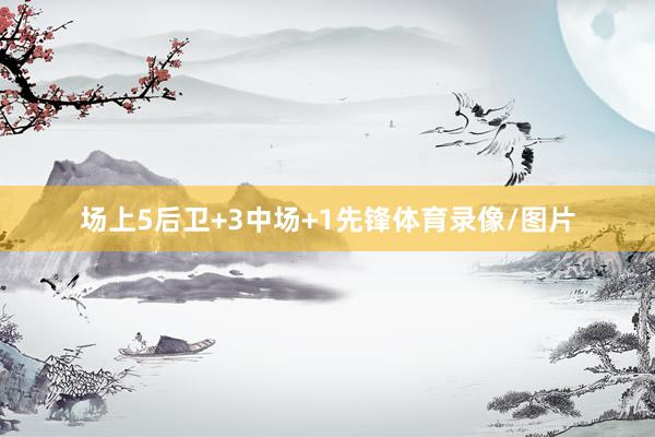 场上5后卫+3中场+1先锋体育录像/图片